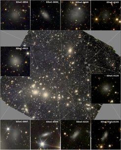 Einige Zwerggalaxien überleben die starken Gezeitenkräfte im Perseus-Galaxienhaufen, die hier als Vergrößerungen gezeigt sind. Insgesamt fanden die Euclid-Forscher 1100 Zwerggalaxien, von denen viele wesentlich schwächer sind als je zuvor im Perseus-Galaxienhaufen gesehen.
